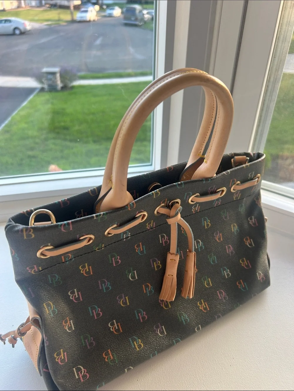 Dooney & Bourke Multicolor Monogram bag